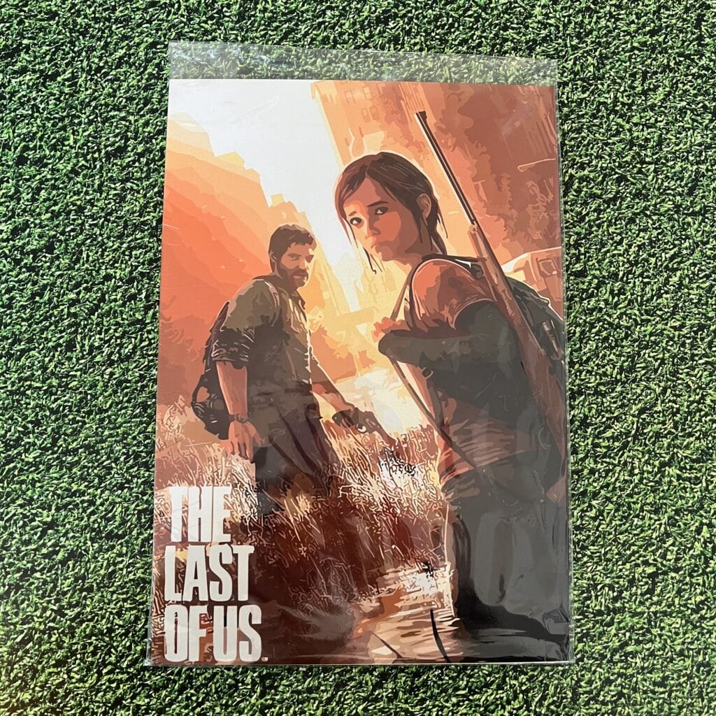 Chapa The Last Of Us